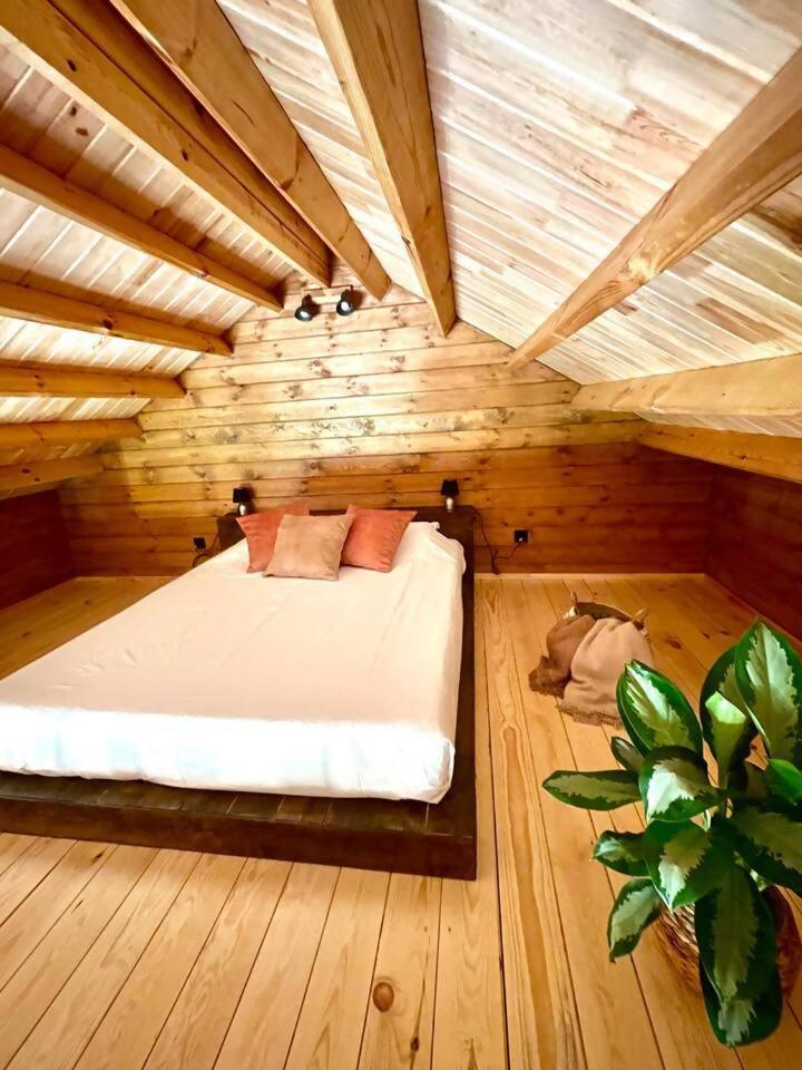 Mountain Eco Shelter 3 Hotel Corujeira de Dentro Kültér fotó